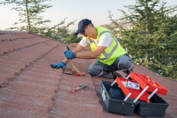 Best Roof Repair Services  in Villisca, IA