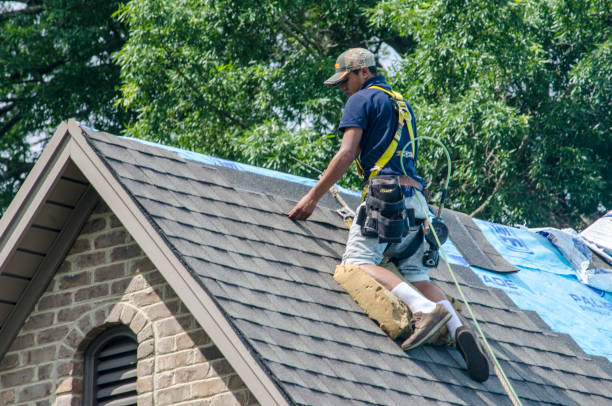 Best Roof Waterproofing Services  in Villisca, IA